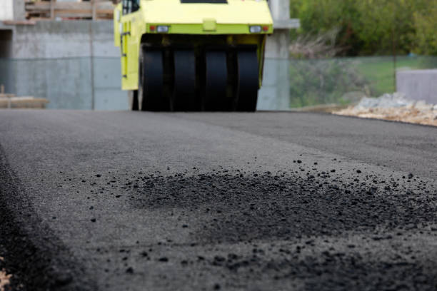 Best Local Driveway Pavers  in St Peter, WI